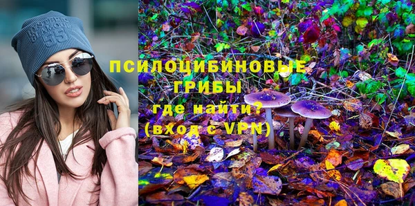 МДПВ Елабуга