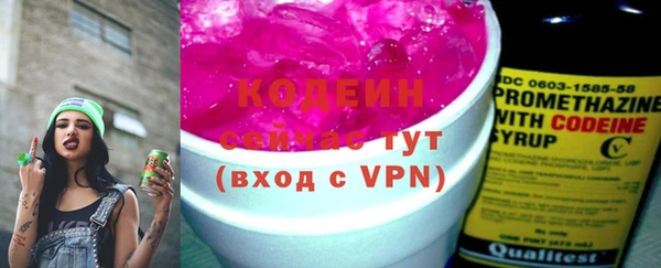 МДПВ Елабуга