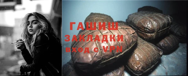 дмт Ельня