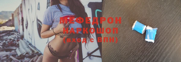 дмт Ельня