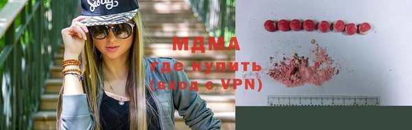дмт Ельня