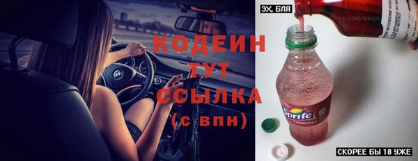 дмт Ельня