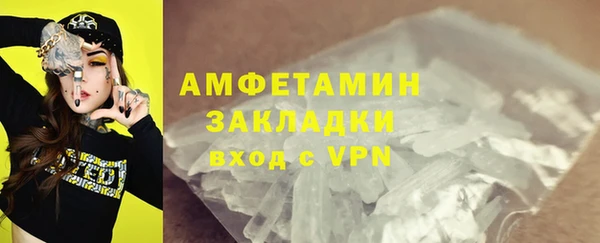 дмт Ельня
