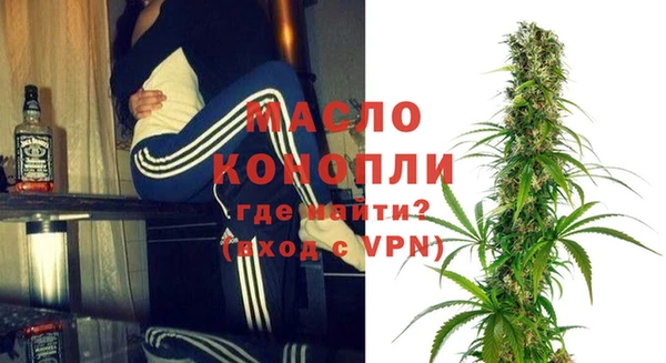 дмт Ельня
