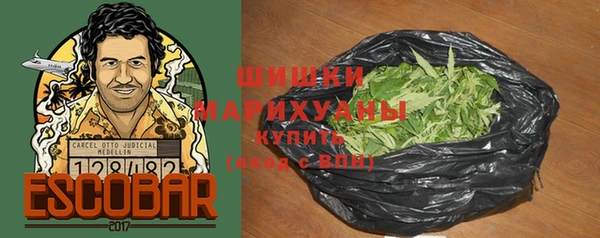 дмт Ельня