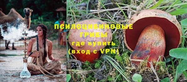 дмт Ельня