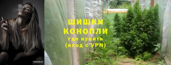 дмт Ельня