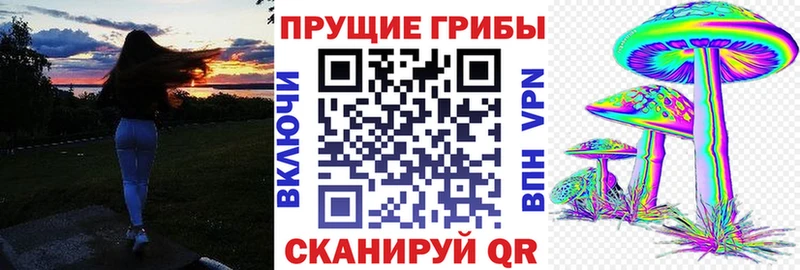 Псилоцибиновые грибы мухоморы Купить где Рудня