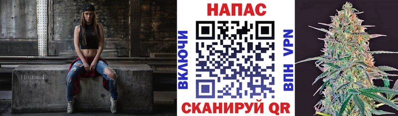 Купить  Рудня  Бошки марихуана OG Kush 